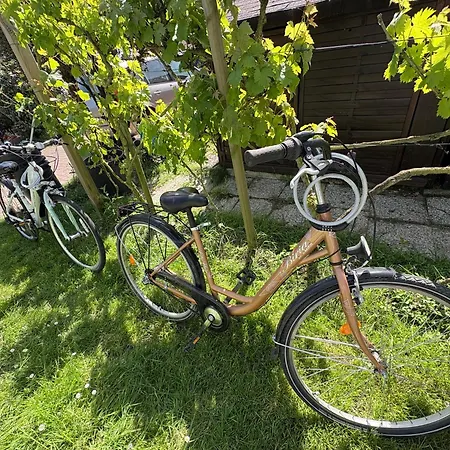 Lägenhet T4 2 -jardin Clos - Jeux - Calme - 700m Porteau
